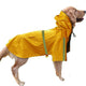 Imperméable pour chien printemps et été