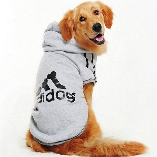 Sweats à capuche de sport pour chiens
