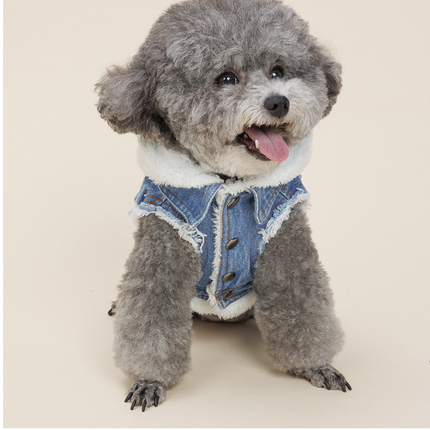 Justin - Veste en jean pour chien