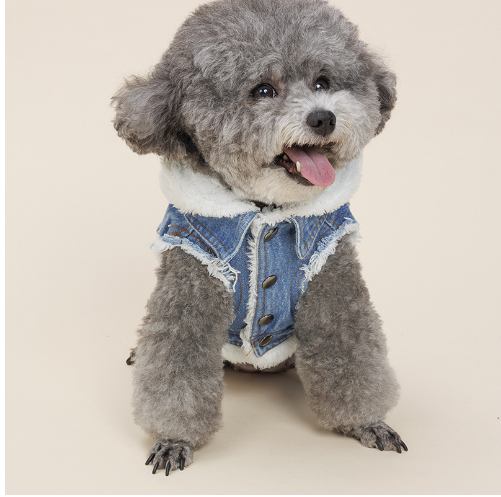 Justin - Veste en jean pour chien