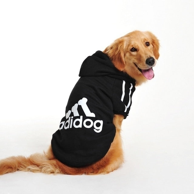 Sudaderas deportivas para perros