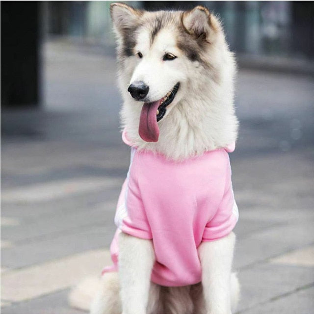 Sweats à capuche de sport pour chiens