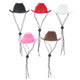 Chapeaux de cowboy pour animaux de compagnie