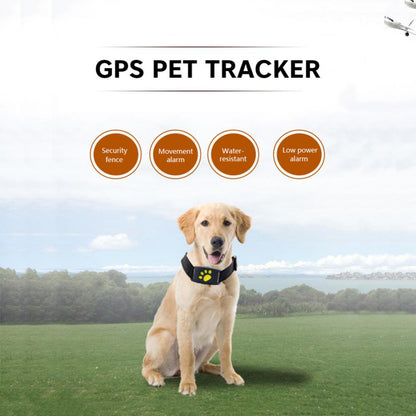 Collier de suivi GPS pour animaux de compagnie