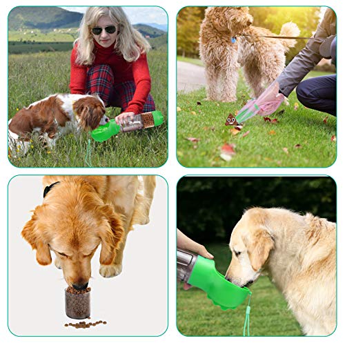 Bouteille d'eau portative pour chien