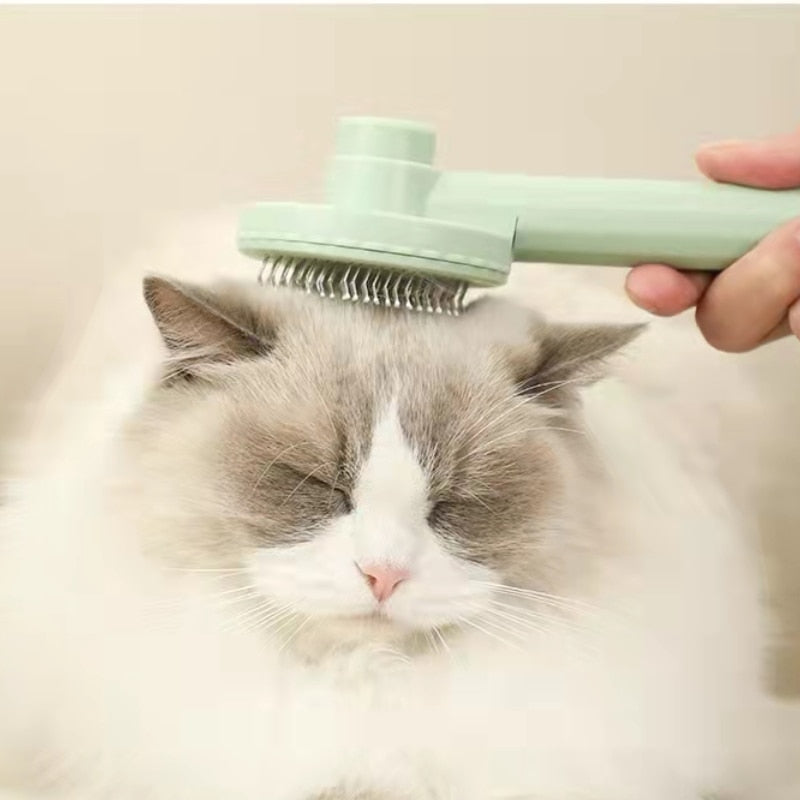 Cepillo de aseo para gatos