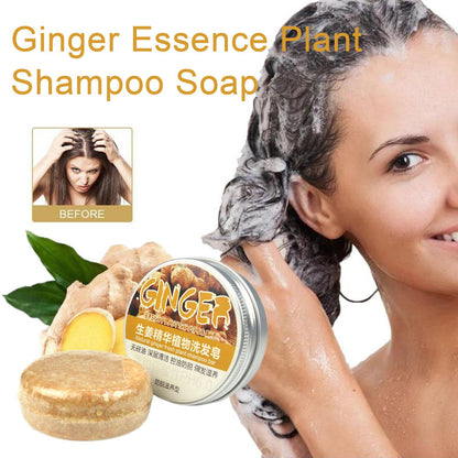 Shampoing au savon pour la croissance des cheveux au gingembre Polygonum