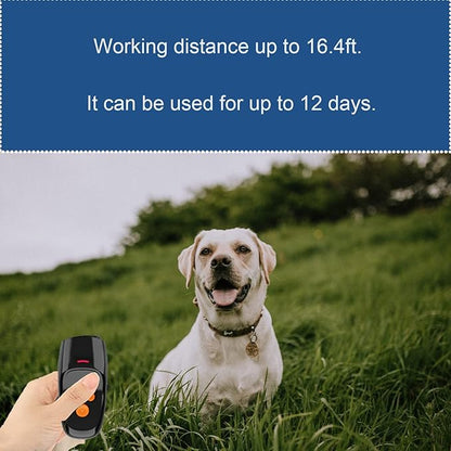 Dispositifs de contrôle des aboiements de chiens Alfaw