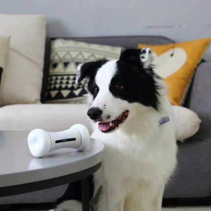 Juguete interactivo de inducción para mascotas