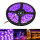 Bandes lumineuses LED violettes