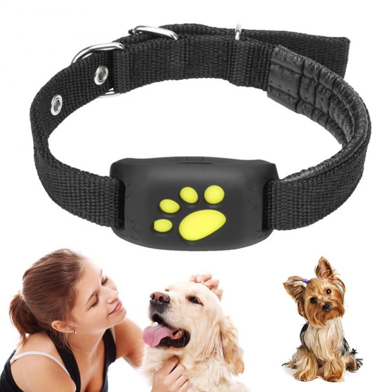 Collar rastreador GPS para mascotas