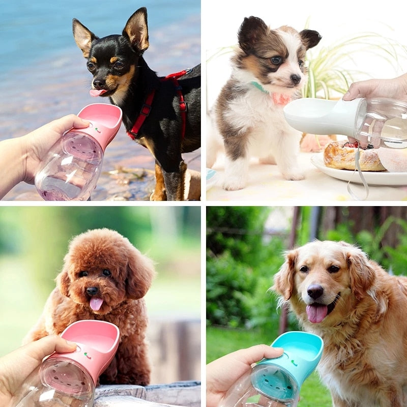 Botella de agua de viaje para mascotas