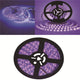 Bandes lumineuses LED violettes