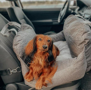 Pet Travel Bed