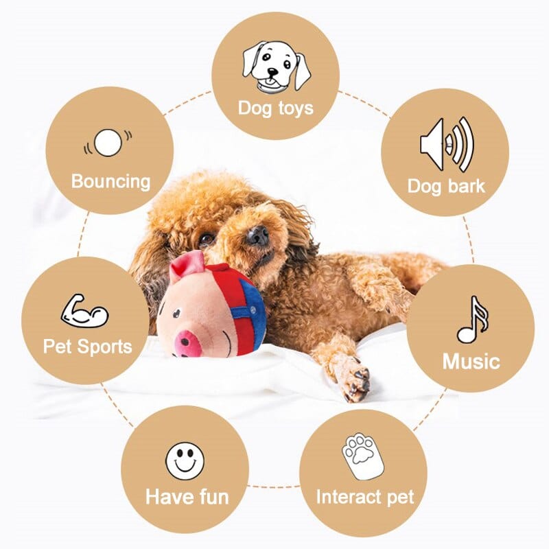 PetPalz: Pelota parlante interactiva para mascotas