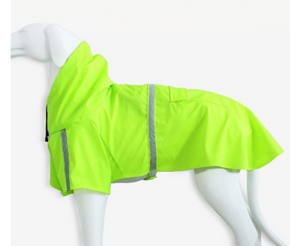 Imperméable pour chien printemps et été