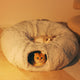 Tunnel Cat Beds