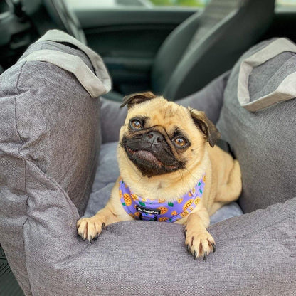 Cama de viaje para mascotas