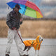 Imperméable pour chien printemps et été