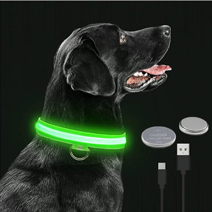 Collier de chien lumineux