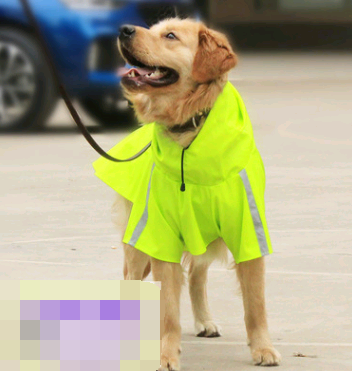 Imperméable pour chien printemps et été