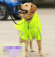 Imperméable pour chien printemps et été