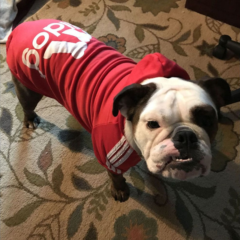 Sweats à capuche de sport pour chiens