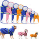 Imperméable pour chien printemps et été