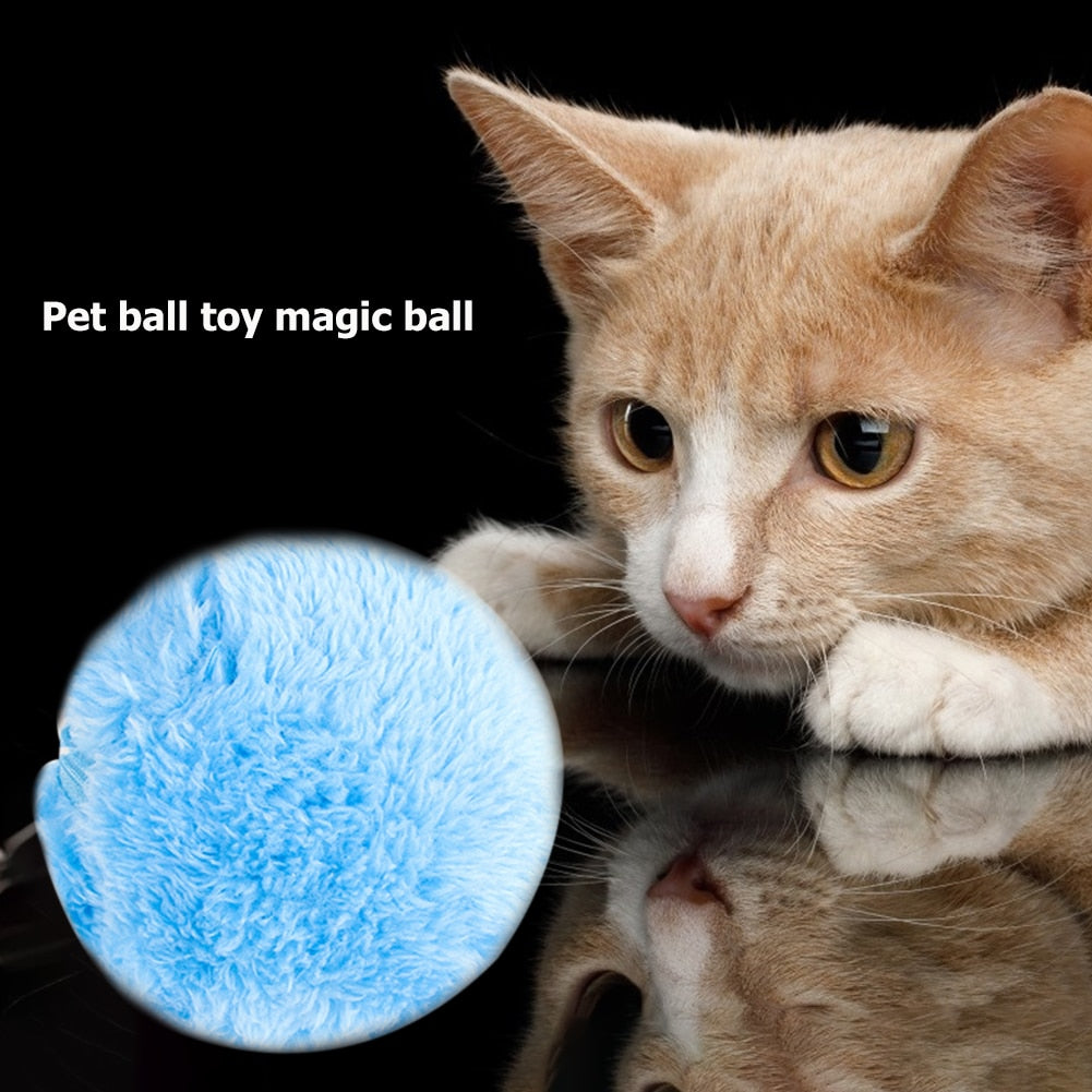 Magic Roller Automatic Activation Pet Ball